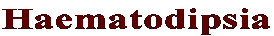 Haematodipsia 